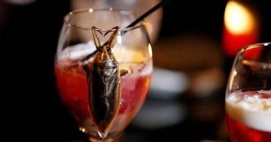 Representational Picture