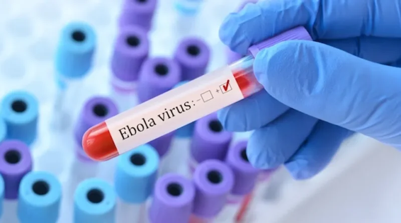 African health agency announces Ebola virus outbreak, 65 suspected deaths