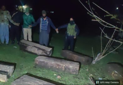 Timber smuggling bid foiled in Pulwama, two arrested