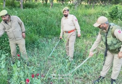 Police destroys illegal cultivation, conducts awareness drives in anti-drug campaign in Pulwama