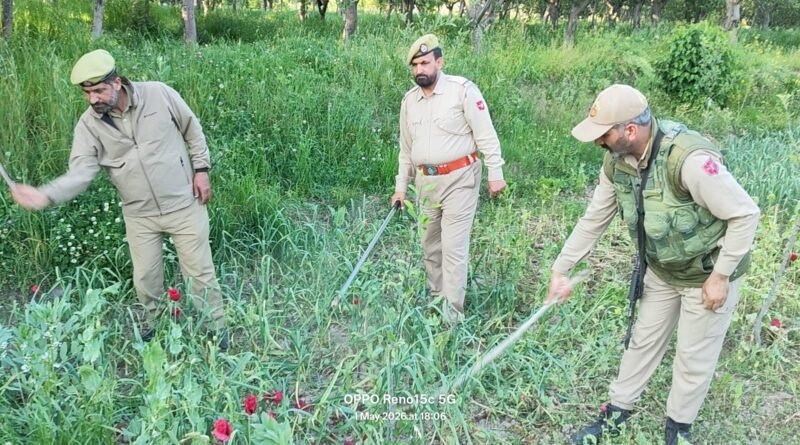 Police destroys illegal cultivation, conducts awareness drives in anti-drug campaign in Pulwama