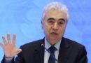 Oil market could hit ‘red zone’ in July-August: IEA Chief