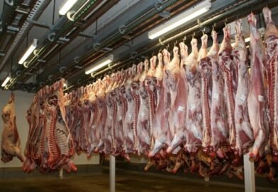 After years of delays, SMC to build J&K’s first modern mechanised abattoir in Srinagar