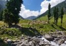 Two terrorists killed in joint operation in Udhampur: Army