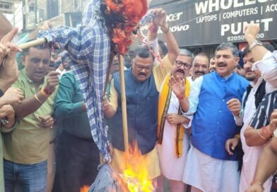 BJP protests NC-led govt over statehood resolution in Assembly