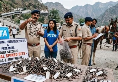 140 spiked bits used on horses for tourist rides in Katra, Shiv Khori seized