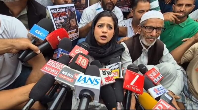 PDP’s Iltija Mufti Leads Protest at Jablipora Fruit Mandi, Demands Crop Insurance and Slams Omar Abdullah Government