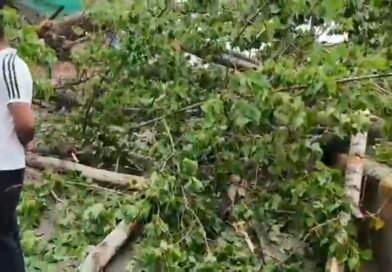 Man Dies, Wife Critically Injured After Tree Falls on Couple in Anantnag