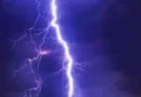 Lightning strike kills over 50 livestock in Poonch
