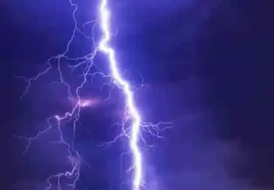 Lightning strike kills over 50 livestock in Poonch