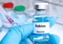 Meat scare in Pulwama village; 108 given anti-rabies vaccine