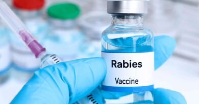 Meat scare in Pulwama village; 108 given anti-rabies vaccine